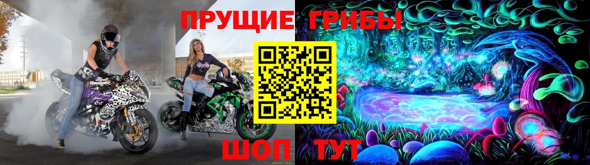 Галлюциногенные грибы GOLDEN TEACHER  Вход с VPN  Ачхой-Мартан 